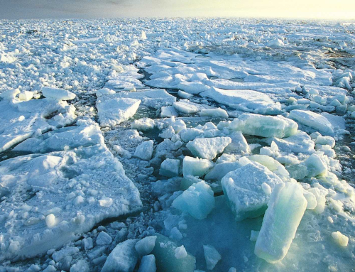 SO-ICE