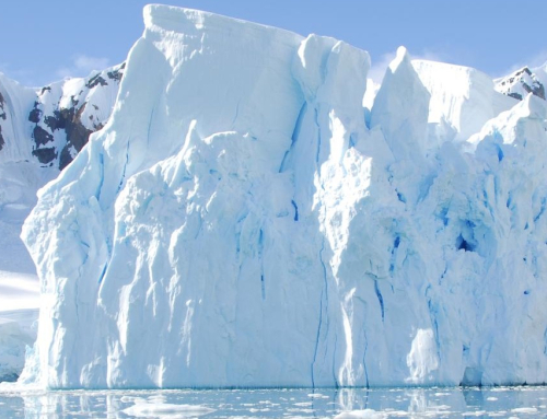 5D Antarctica